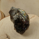 斑彩螺 Ammolite